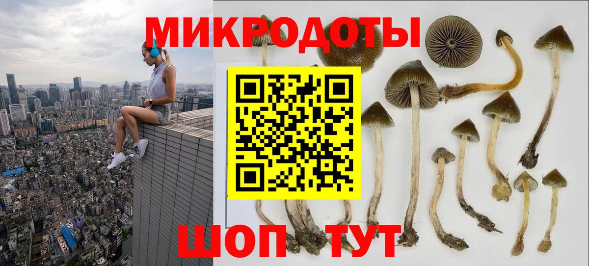 Галлюциногенные грибы Magic Shrooms  Вход с VPN  Галлюциногенные грибы прущие грибы  Похвистнево 